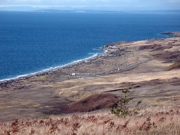 Beaches San Juan Island National Historical Park U S South Beach From Ft