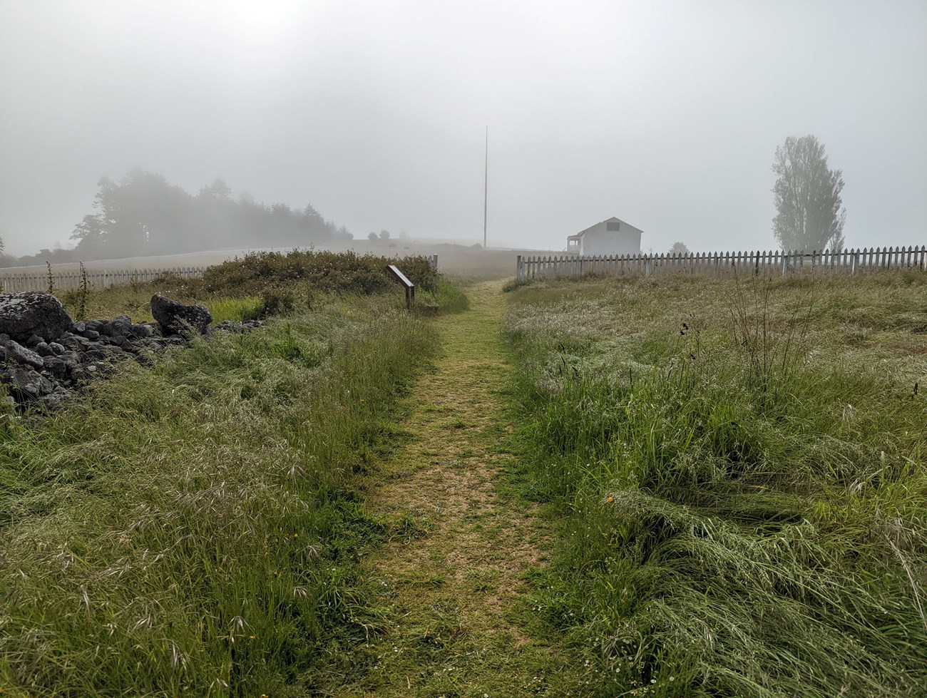 grassy trail in fog. there's a fence, building, and trees in the background