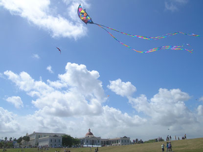 San Juan NHS Kite Festival