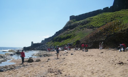 beach cleanup