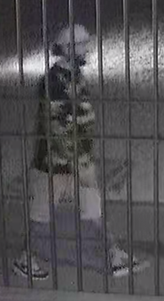 theft suspect person of interest walking in front of fenced area