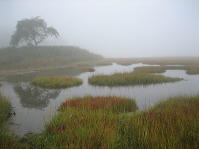 An Estuary in Ipswich