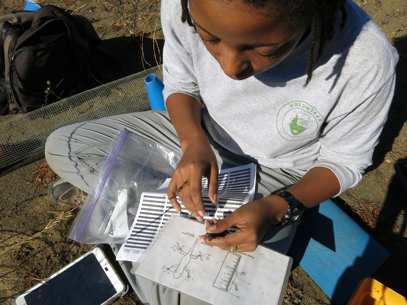 Herp Research in Action