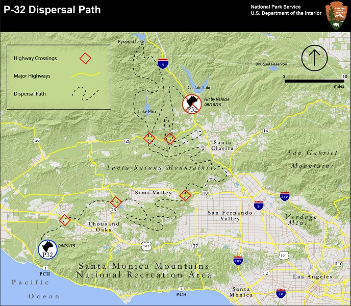Map of P32's Dispersal Path