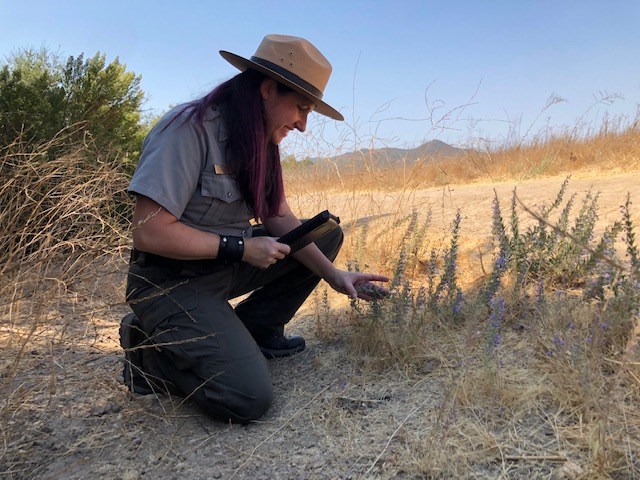 Ranger Mary and the Best Plant Ever