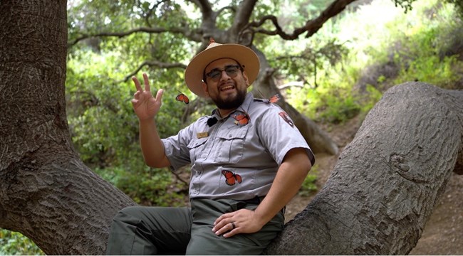 Park ranger sitting on a branch with butterflies