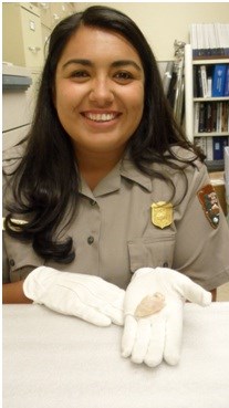 A park ranger showcases one of the many items from the park's archaeology collection. A park ranger showcases one of the many items from the park's archaeology collection.
