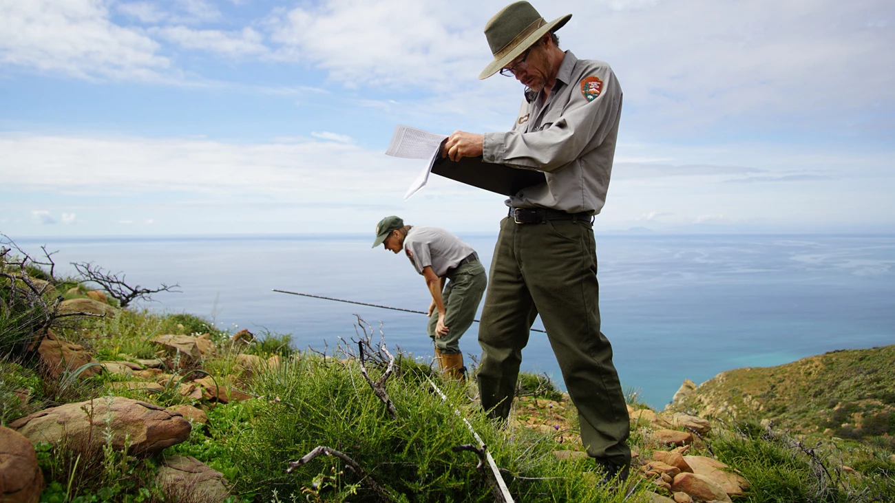 32786329624_13f9c9c958_k Two park biologists survey land and vegetation in a transect along the coast.