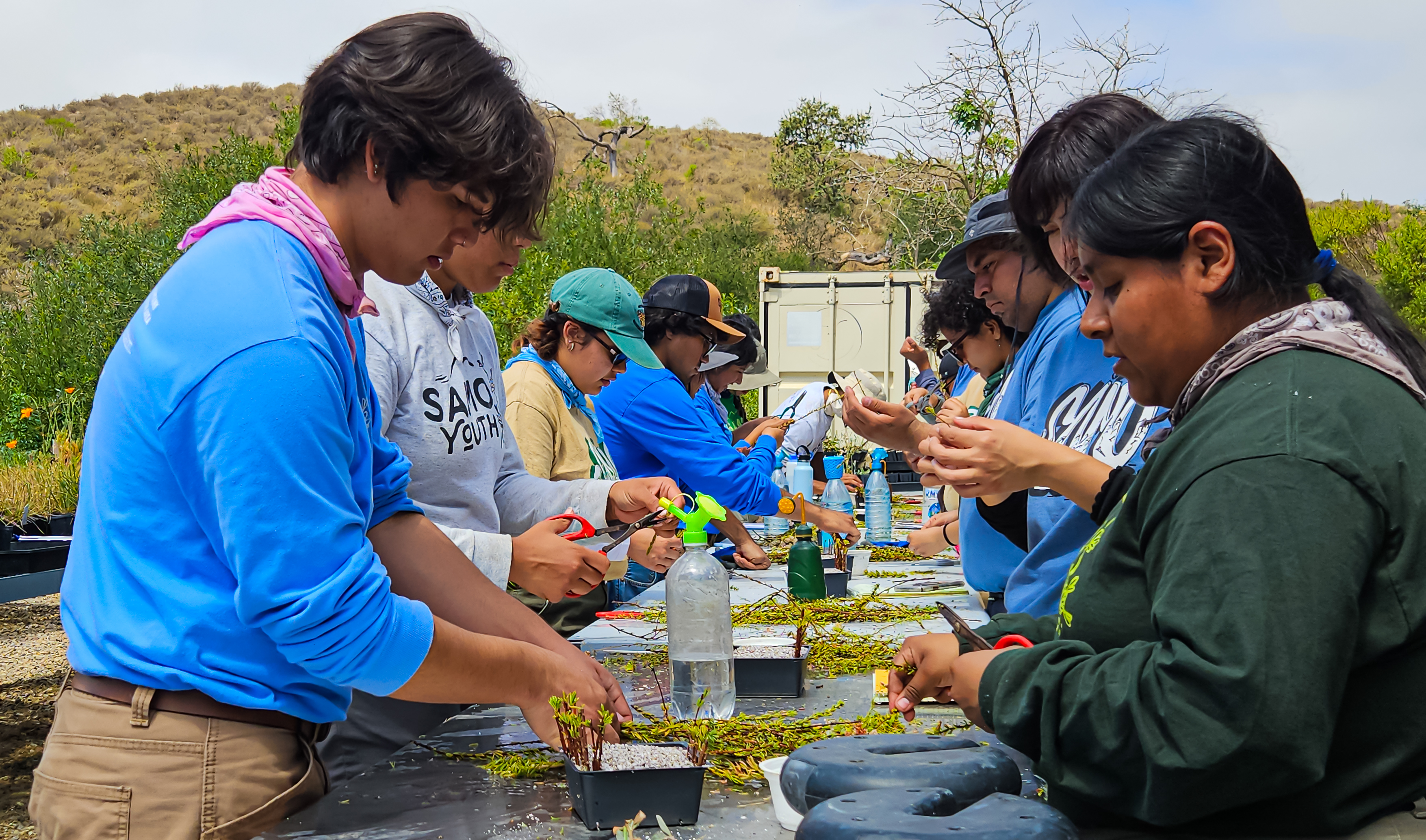 SAMO Youth propagating native plants at a nursery. Photo credit: Cecilia Lopez.