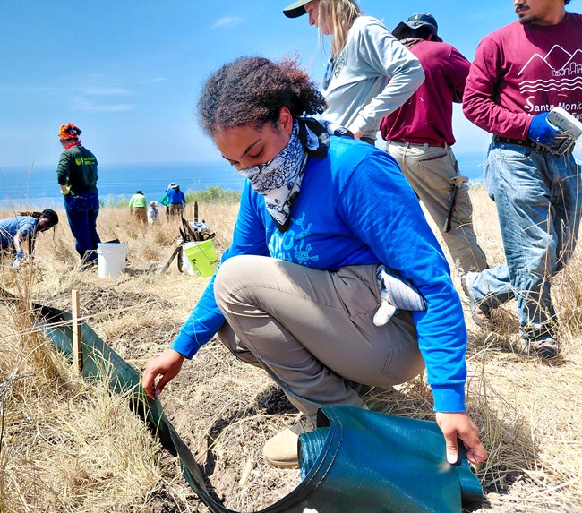 SAMO Youth stretching plastic fencing for pitfall trap repair.