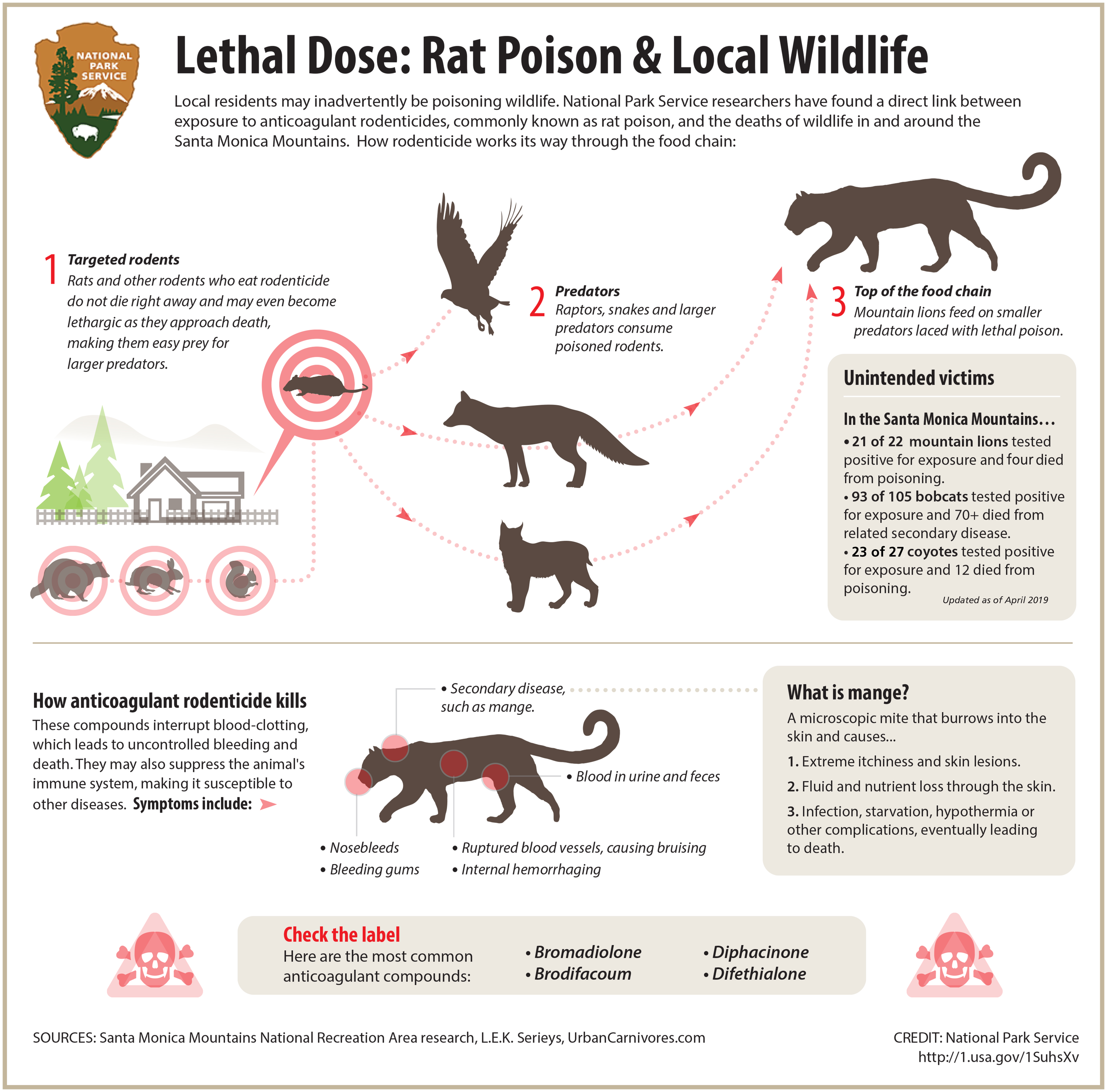 Rodenticide Poisoning in Wildlife