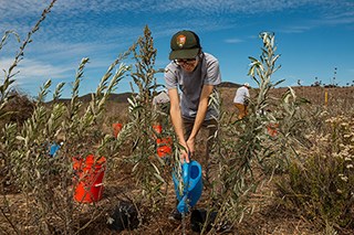 Ranger in uniform tending to plants.