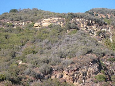 Recent record low rainfall years has produced areas of chaparral die-back.