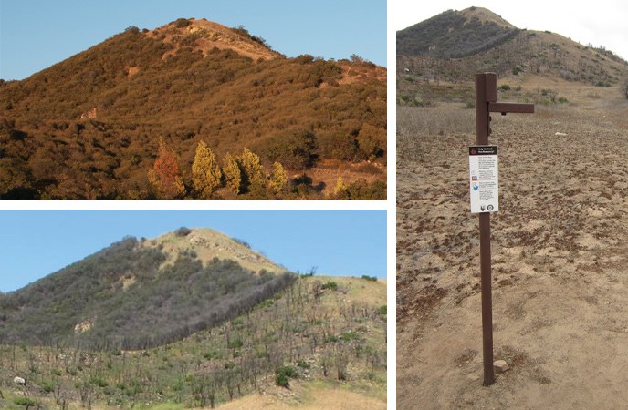 Two photographs show the change in vegetation before and after the Springs Fire. A third photo shows the camera stand. Two photographs show the change in vegetation before and after the Springs Fire. A third photo shows the camera stand.