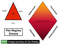 Fire regime drivers graphic - ecosystem fire composed of four elements: ignition source, fuel structure, seasonality, primary productivity.