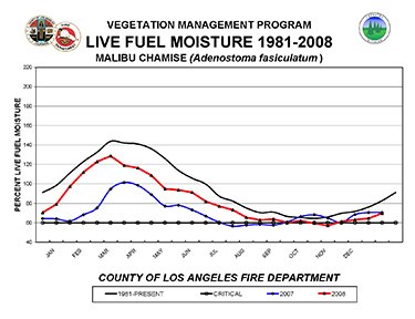 Live fuel moisture chart for 1981 - 2008 for Malibu Chamise (Adenostoma fasiculatum)
