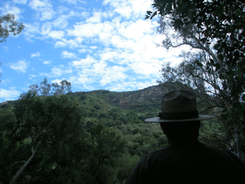 A moment of time. An intern we had caught me looking out over the park I care about so much.