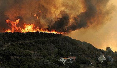 Flames burn through chaparral during a wildland fire event.