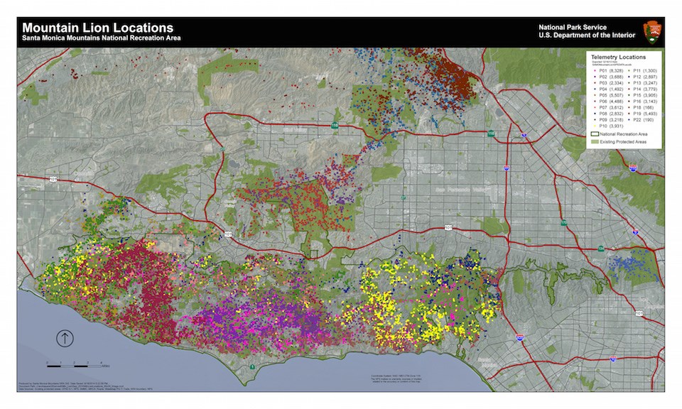  Your Map to Staying Active in Santa Monica