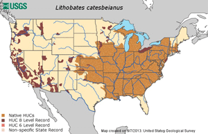 Habitat map of native and non-native locations of the bullfrog.