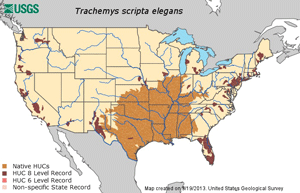 Map of Red-eared Sliders locations in the United States.