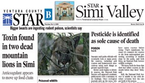News article on anticoagulant poisoning of mountain lions in the Simi Hills, California.