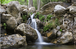 2008 Spirit of the Mountains Photo Contest 3rd Place Winner - Canyon Serenity - Gary Goldstein.