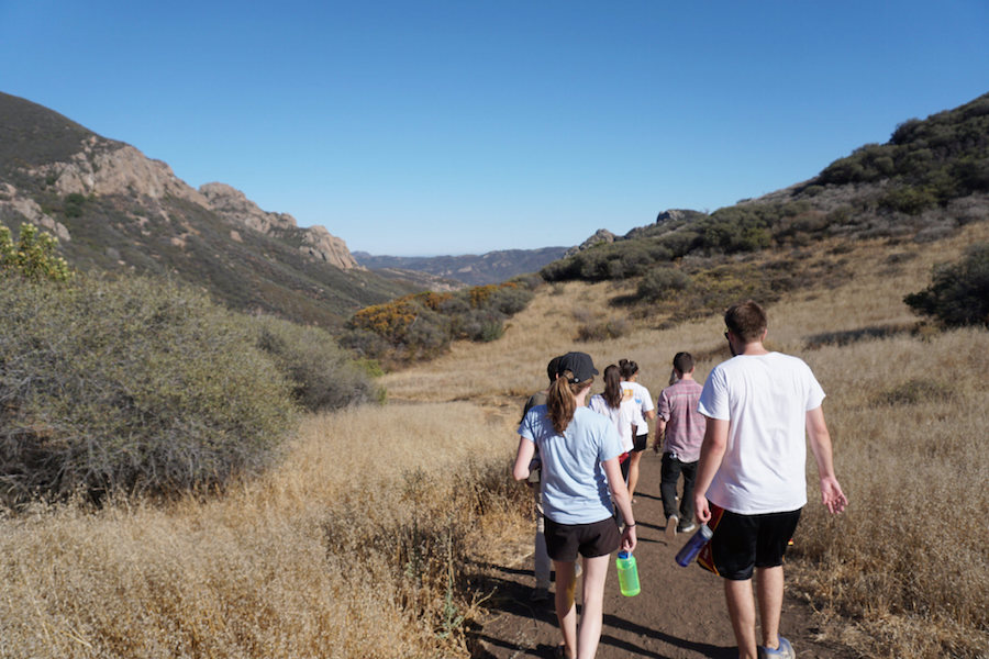 Hikers on the trail. hikers