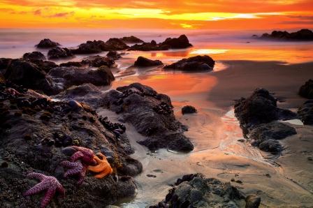 2011 People's Choice Winner: "Five-star Sunset"
