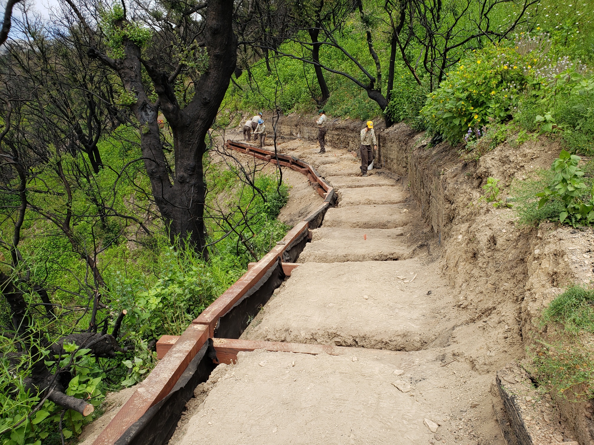 CCC trail crew working on the Backbone Trail in Malibu Trail crew working on Backbone Trail in Malibu