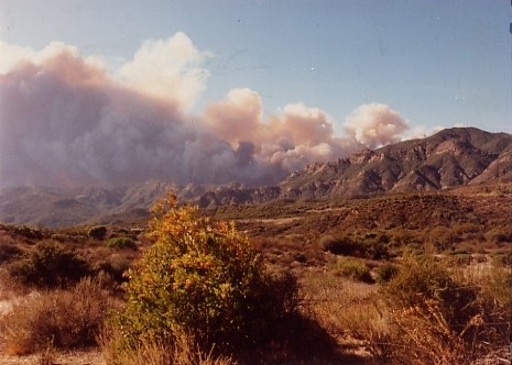 The 1993 Green Meadow Fire is being pushed south across the mountains on the way to the ocean.