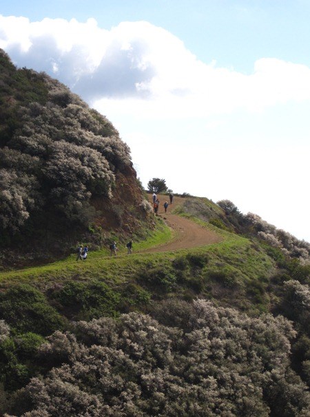 Hiking on the Backbone Trail.