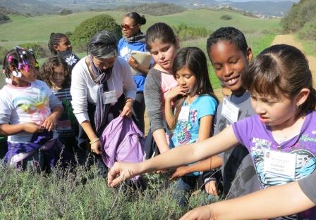 Kids touching and feeling California sagebrush.