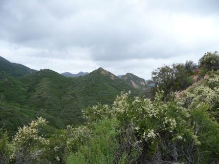 Malibu Creek Acquisition landscape. - NPS photo