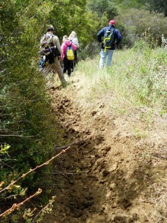 Trails become real muddy after the rain. Extra care must be taken when walking on them.