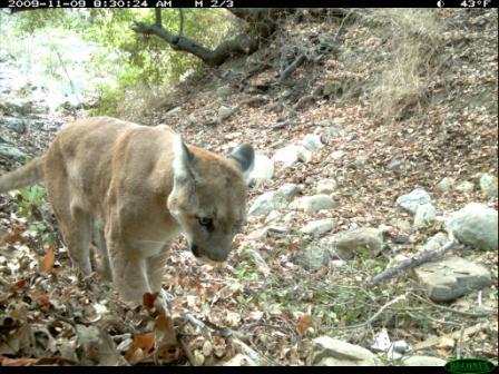 P15 on remote camera. - NPS Photo