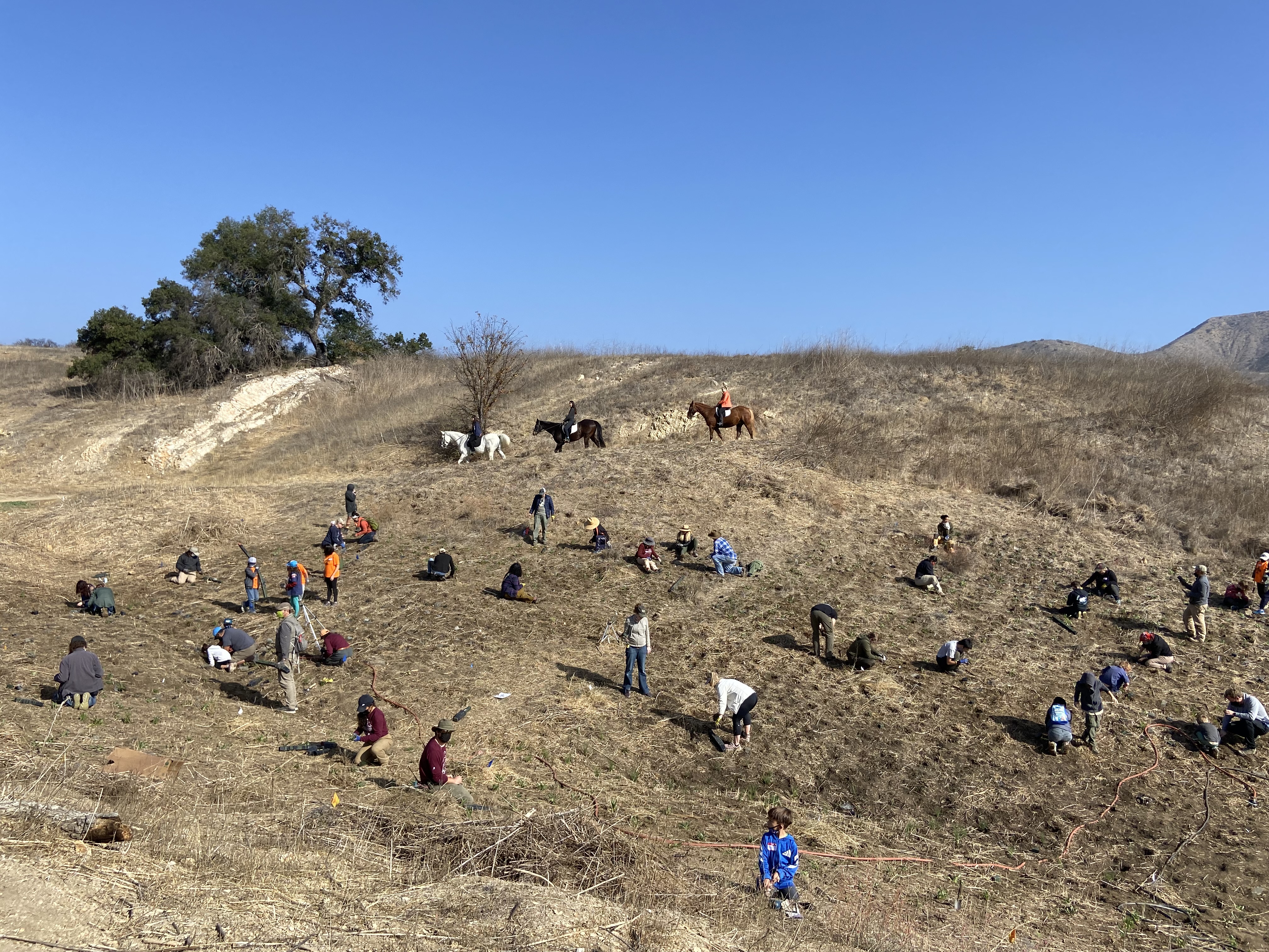 Restoration event at Santa Monica Mountains National Recreation Area