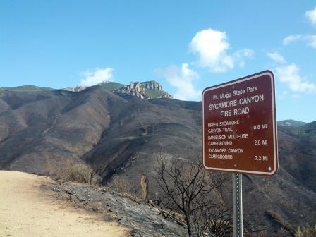 Scyamore Canyon with Boney in the background.