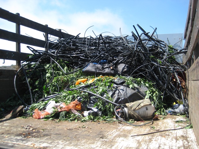 Trash and mature plants awaiting removal - NPS photo