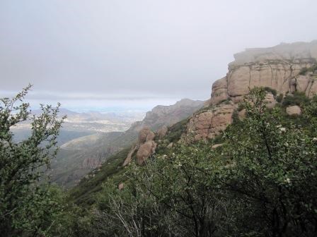 The deep backcountry of Circle X Ranch and the Boney Mountain State Wilderness lead itself to views that are as vast and complex.