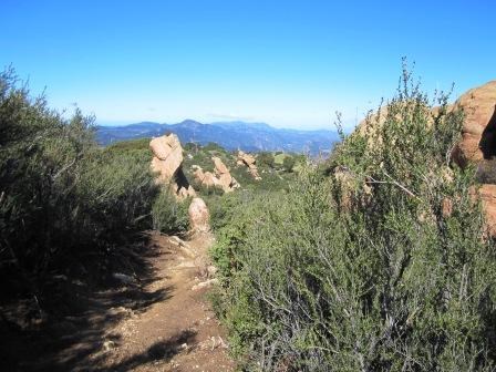 Geological formations intertwine with chaparral along the Backbone Trail in Malibu Creek State Park.