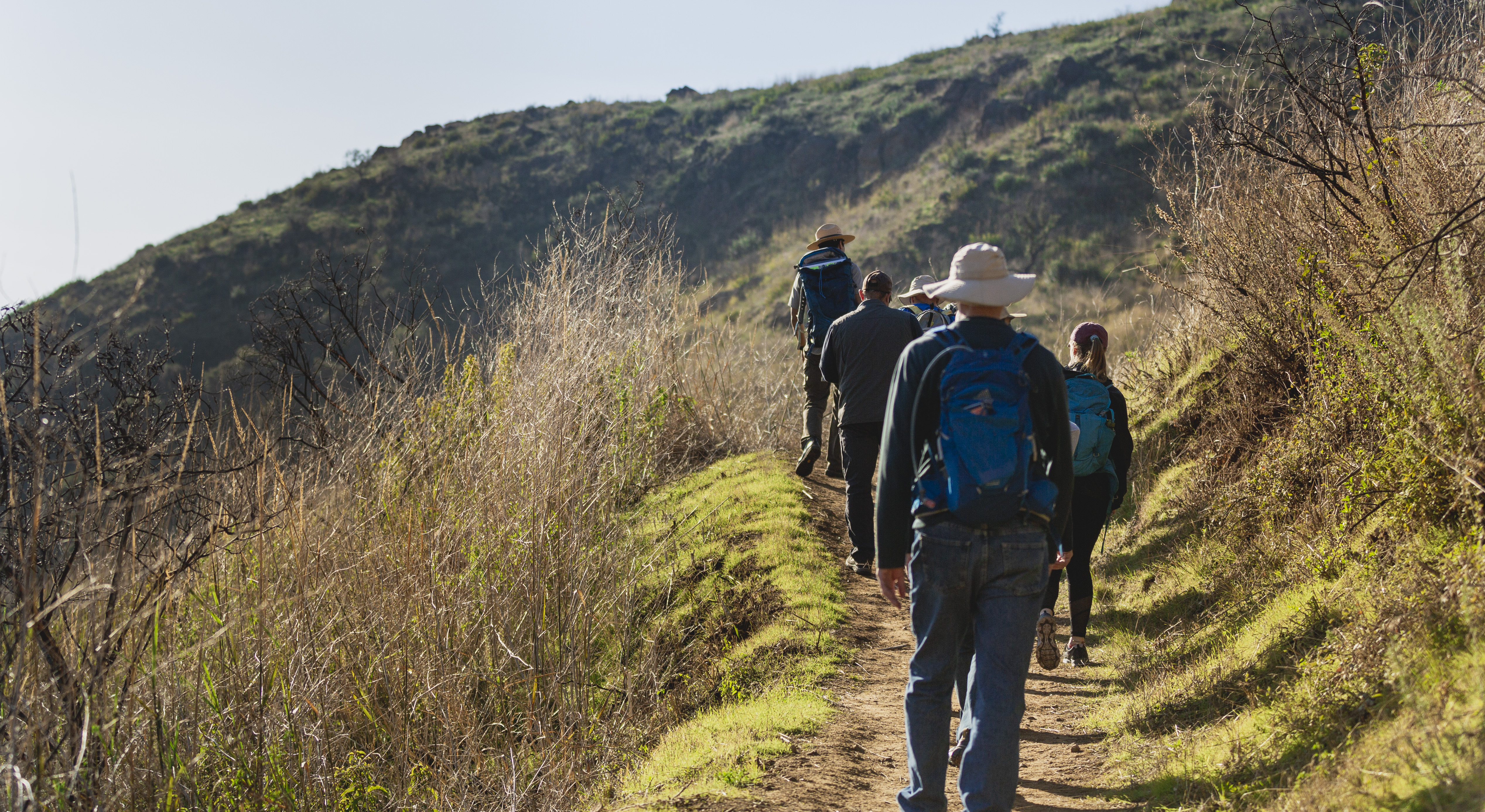 Hikers in Solstice Canyon