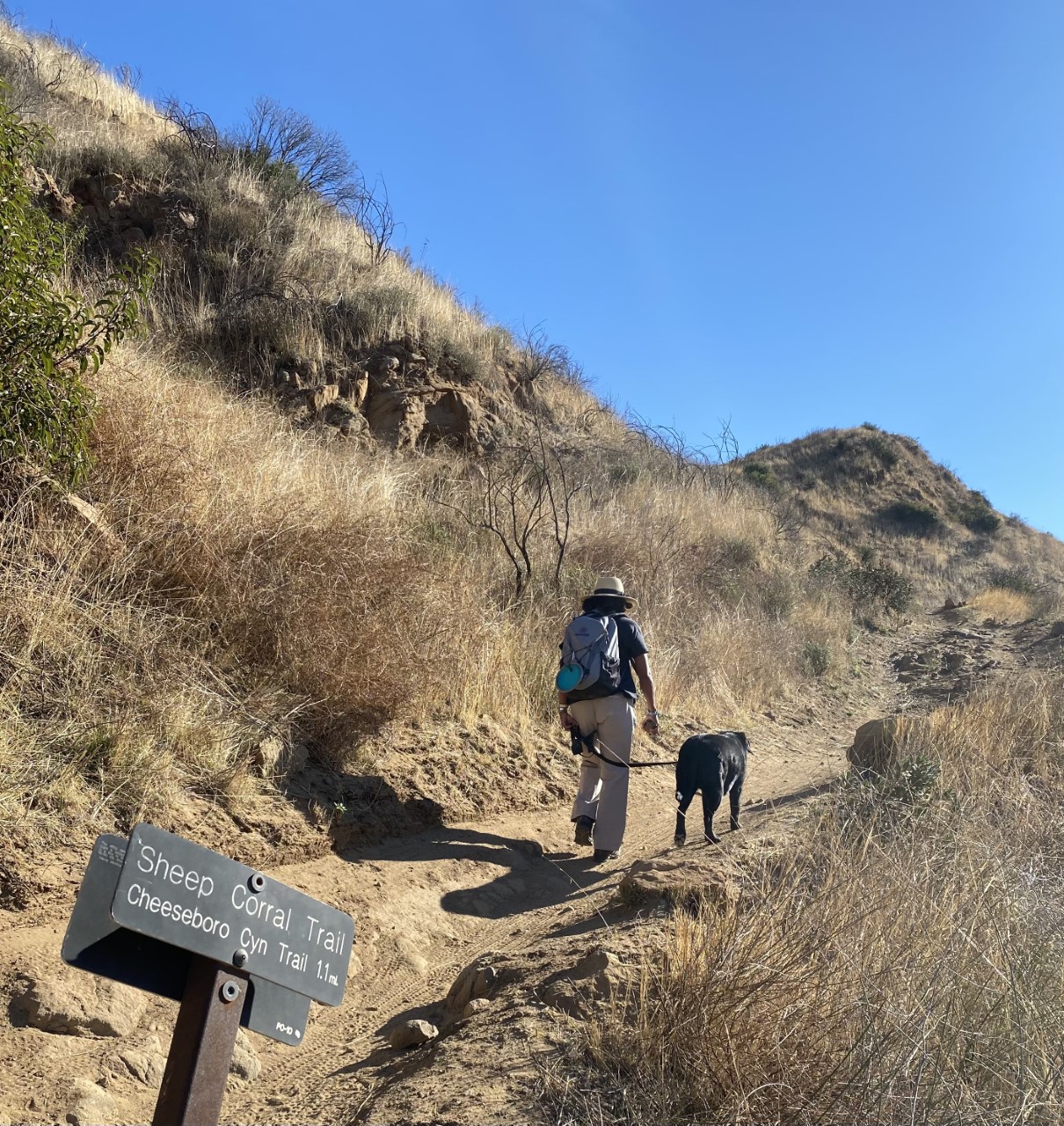 Hiker with a dog on Sheep Corral Trail.