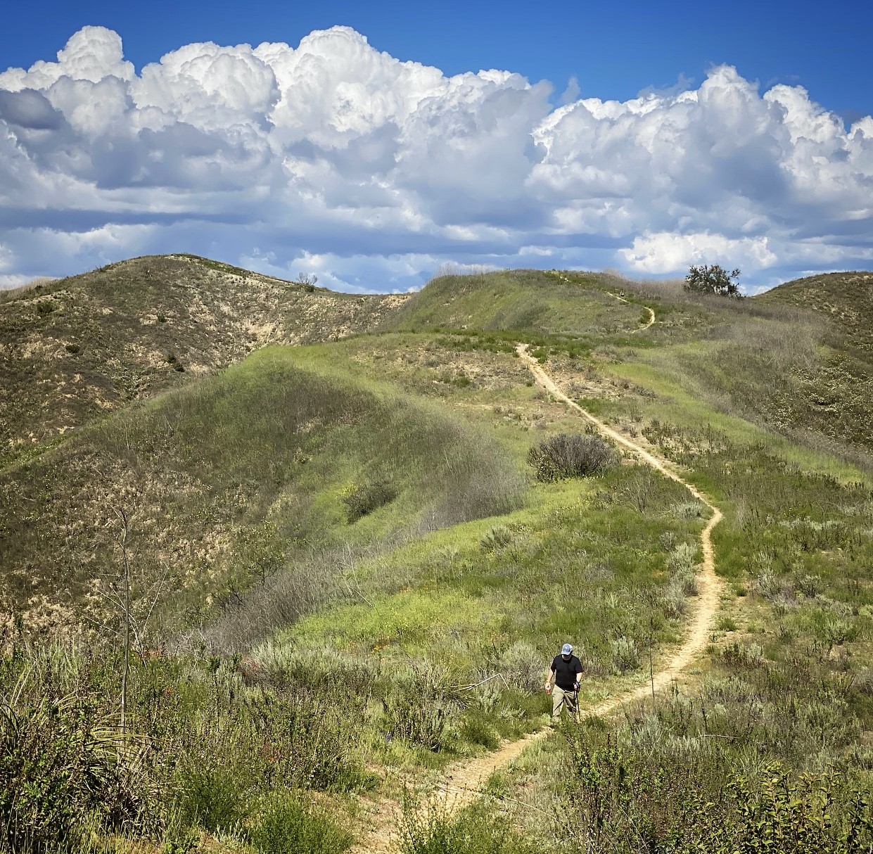 Hiker in Santa Monica Mountains