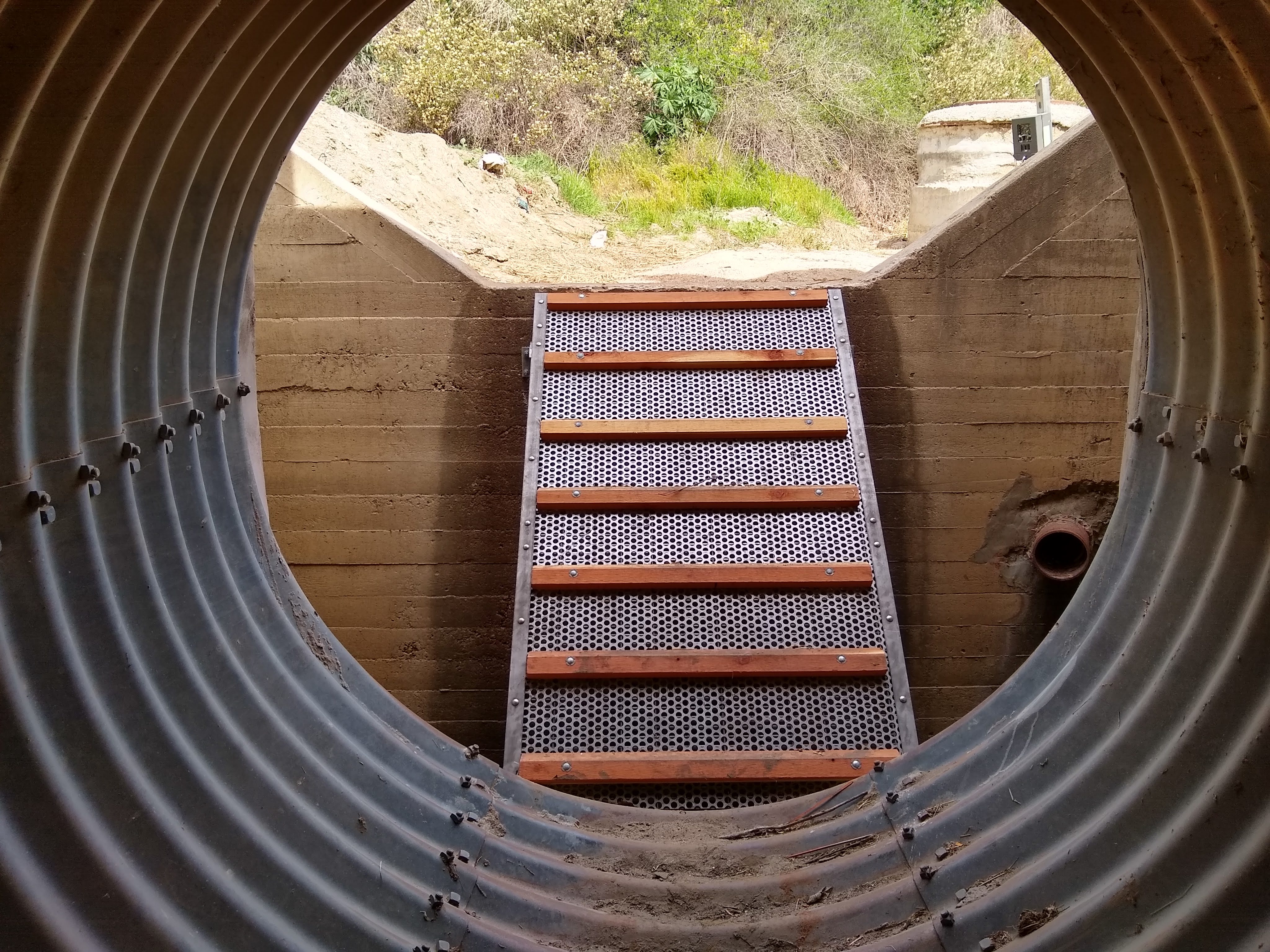 Pictured here is one of the wildlife crossings constructed to help local wildlife cross a two-lane highway safely.