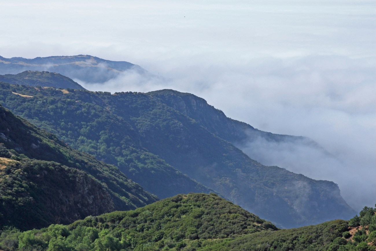 Coastal marine layer rolling inland toward the green slopes of the Santa Monica Mountains.