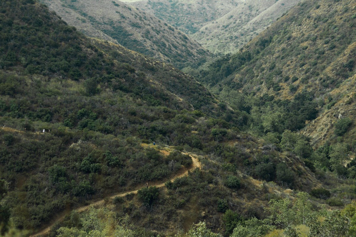 A trail winds through a shrubby hillside