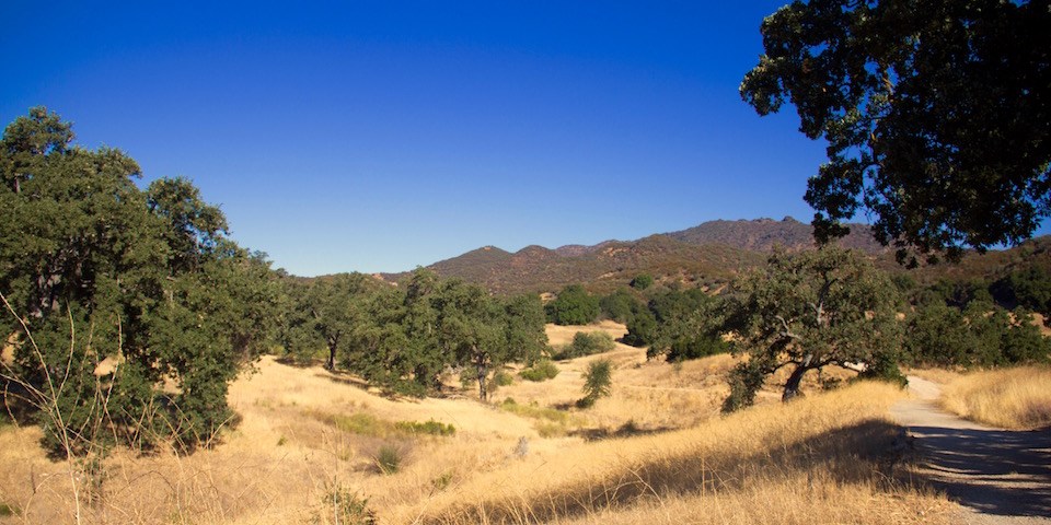 A trail to the right follows trees and rolling hills with a mountain view in the background