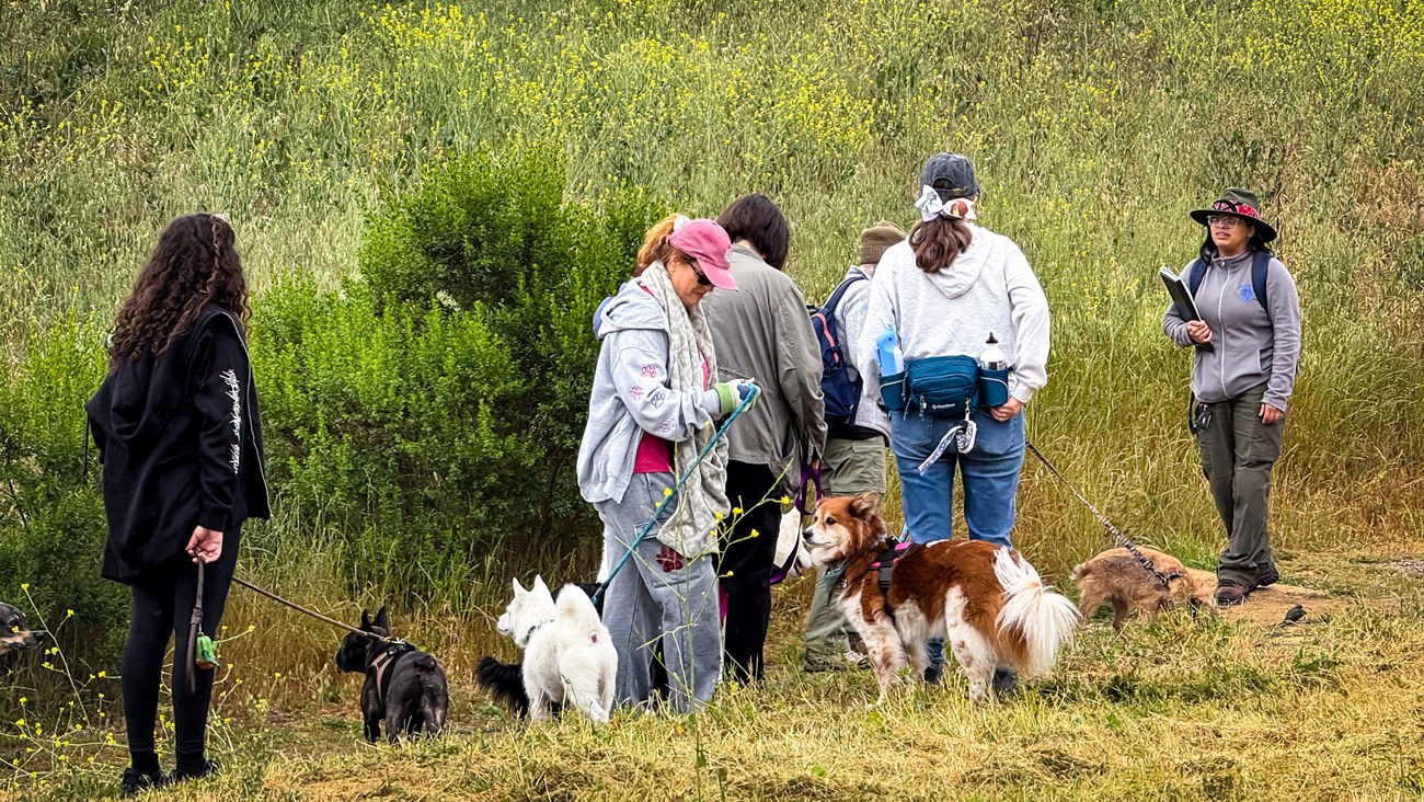 Park staff leading a group on a hike at a B.A.R.K. Ranger event