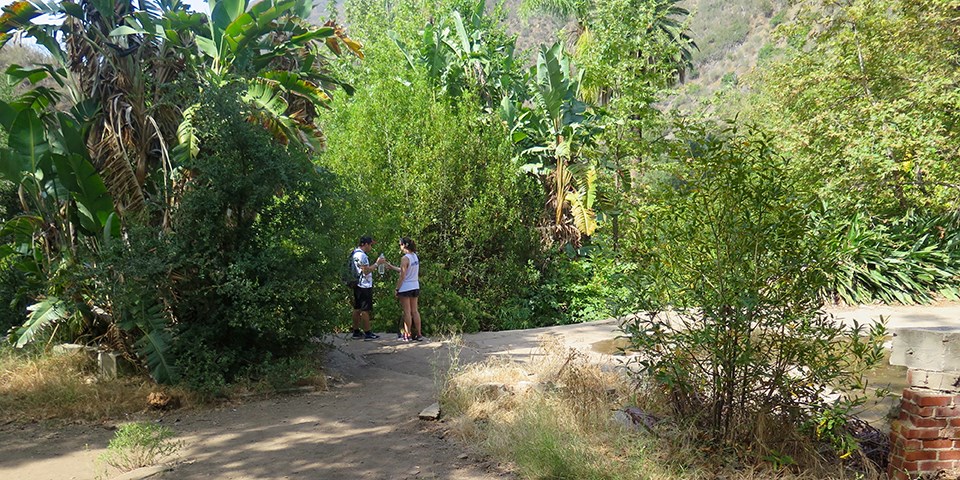 Two people standing in the Tropical Terrace ruins.